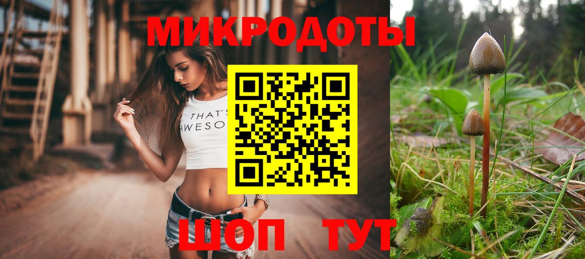 Псилоцибиновые грибы Psilocybe Котовск